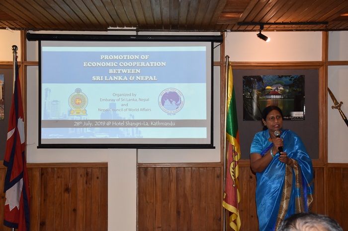 3. Presentation by Ambassador Swarna Perera